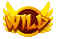logo ACONGTOTO